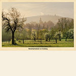 Westerbachwiesen vor Kronberg